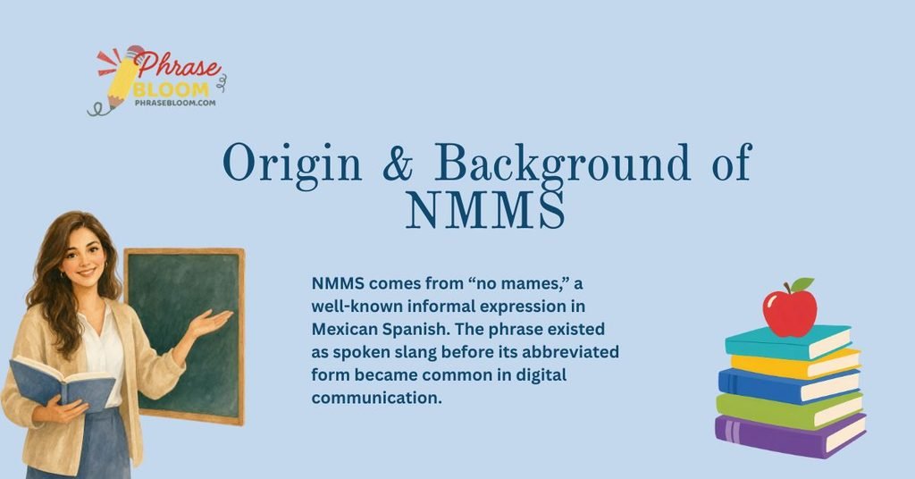 Origin & Background of NMMS
