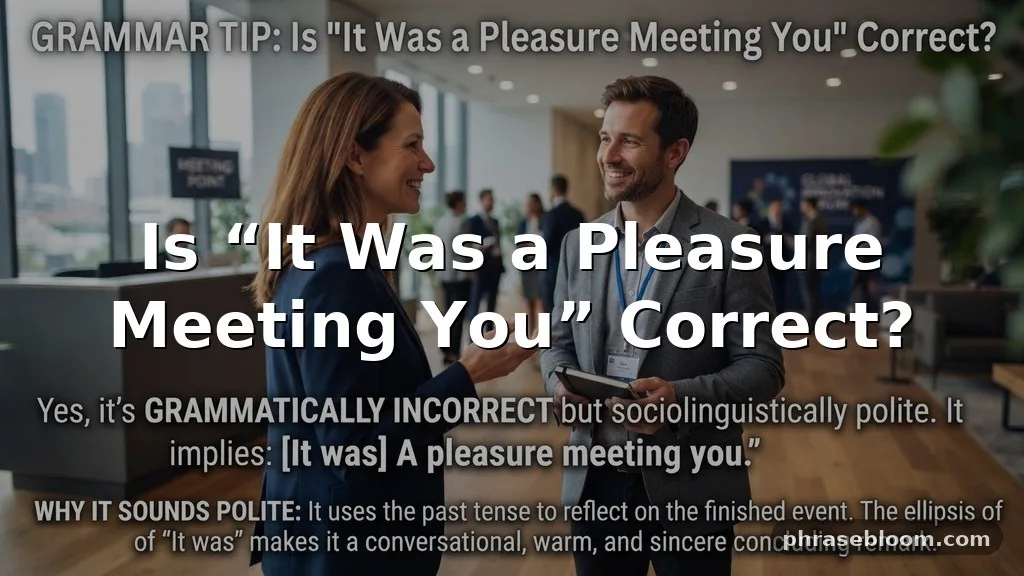 Is “It Was a Pleasure Meeting You” Correct?